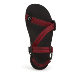 Men's Xero Shoes Z-Trail EV Sandal 37 Men's Xero Shoes Z-Trail EV Sandal -BROOKS Shop 4zkbrc1rb3