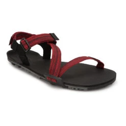 Men's Xero Shoes Z-Trail EV Sandal 39 Men's Xero Shoes Z-Trail EV Sandal -BROOKS Shop 8a1fyeswk3