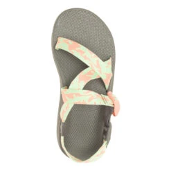 Men's Chaco Z/Cloud -BROOKS Shop c1pma7mw3l