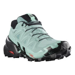 Women's Salomon Speedcross 6 GTX -BROOKS Shop lodjothkkm